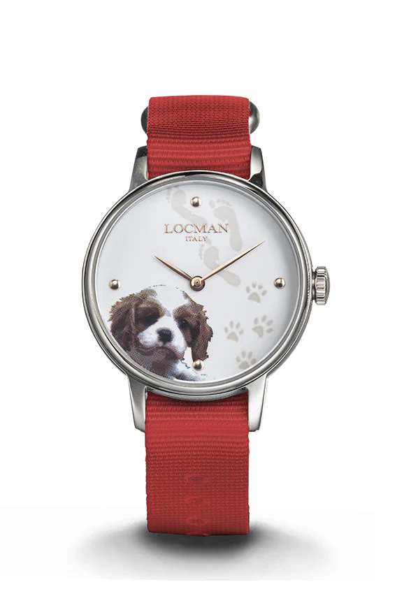 Immagine prodotto 1